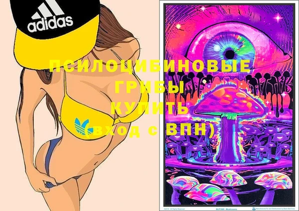 мдпв Нея