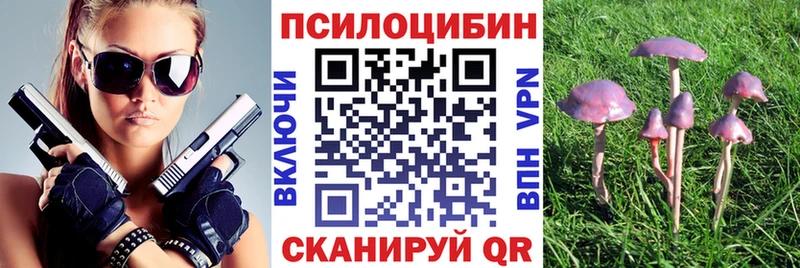 цены наркотик Руза Псилоцибиновые грибы Psilocybine cubensis