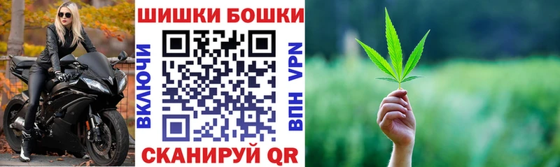 Шишки марихуана план  как найти наркотики  Руза 